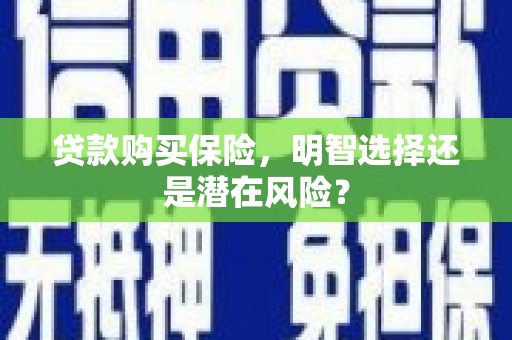 海安贷款购买保险，明智选择还是潜在风险？