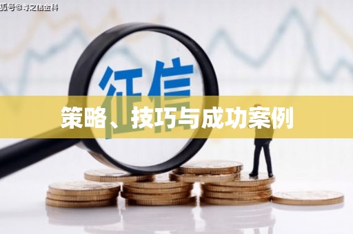 金溪策略、技巧与成功案例
