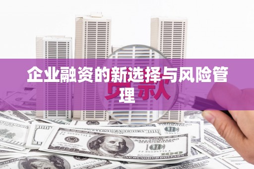 江东企业融资的新选择与风险管理